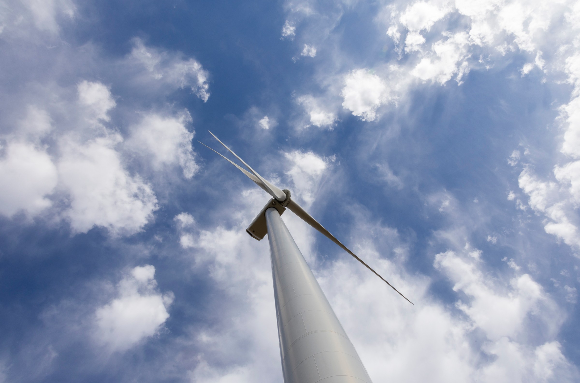 Meet the Trump supporters who love wind energy