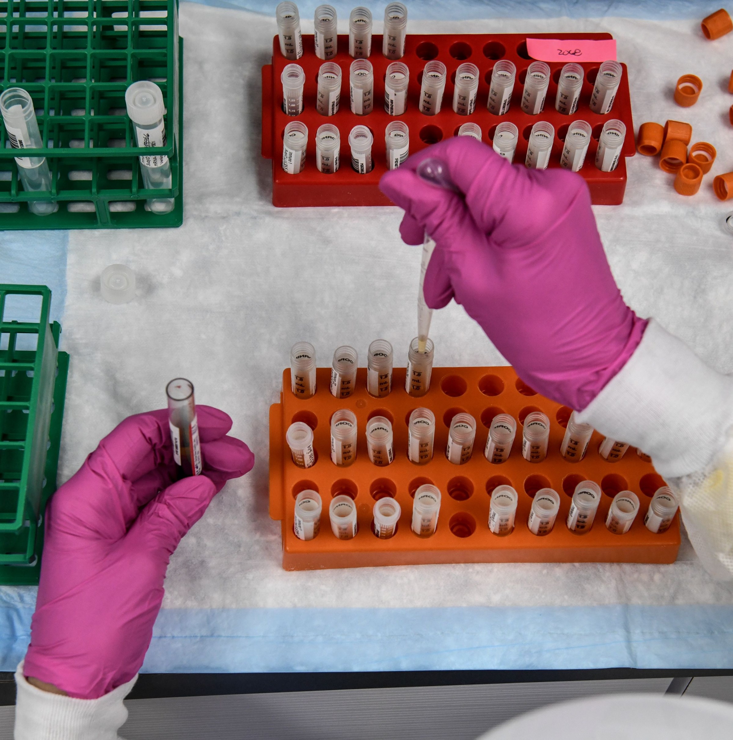 Trump is running from his biggest health care success