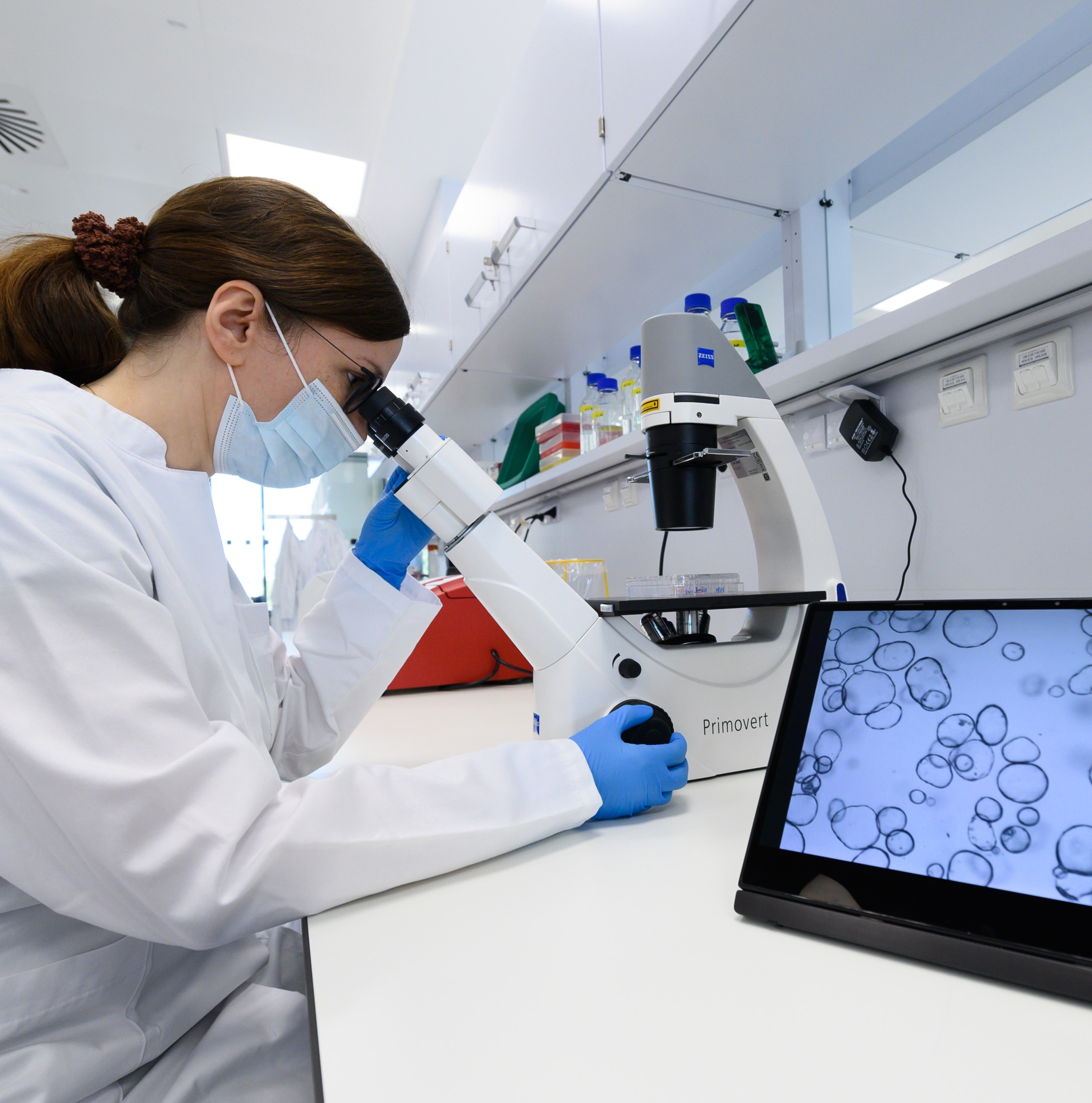 Why do so many young people suddenly have cancer?