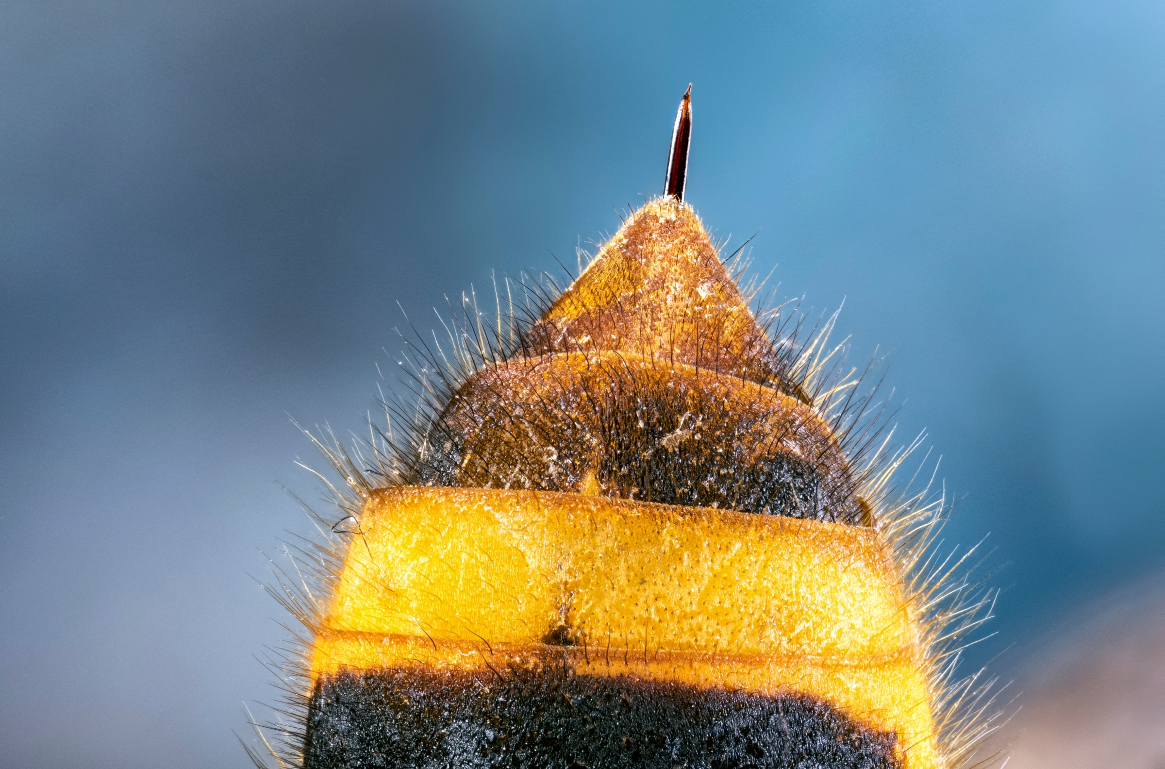 The freaky part of allergy season that no one warned you about