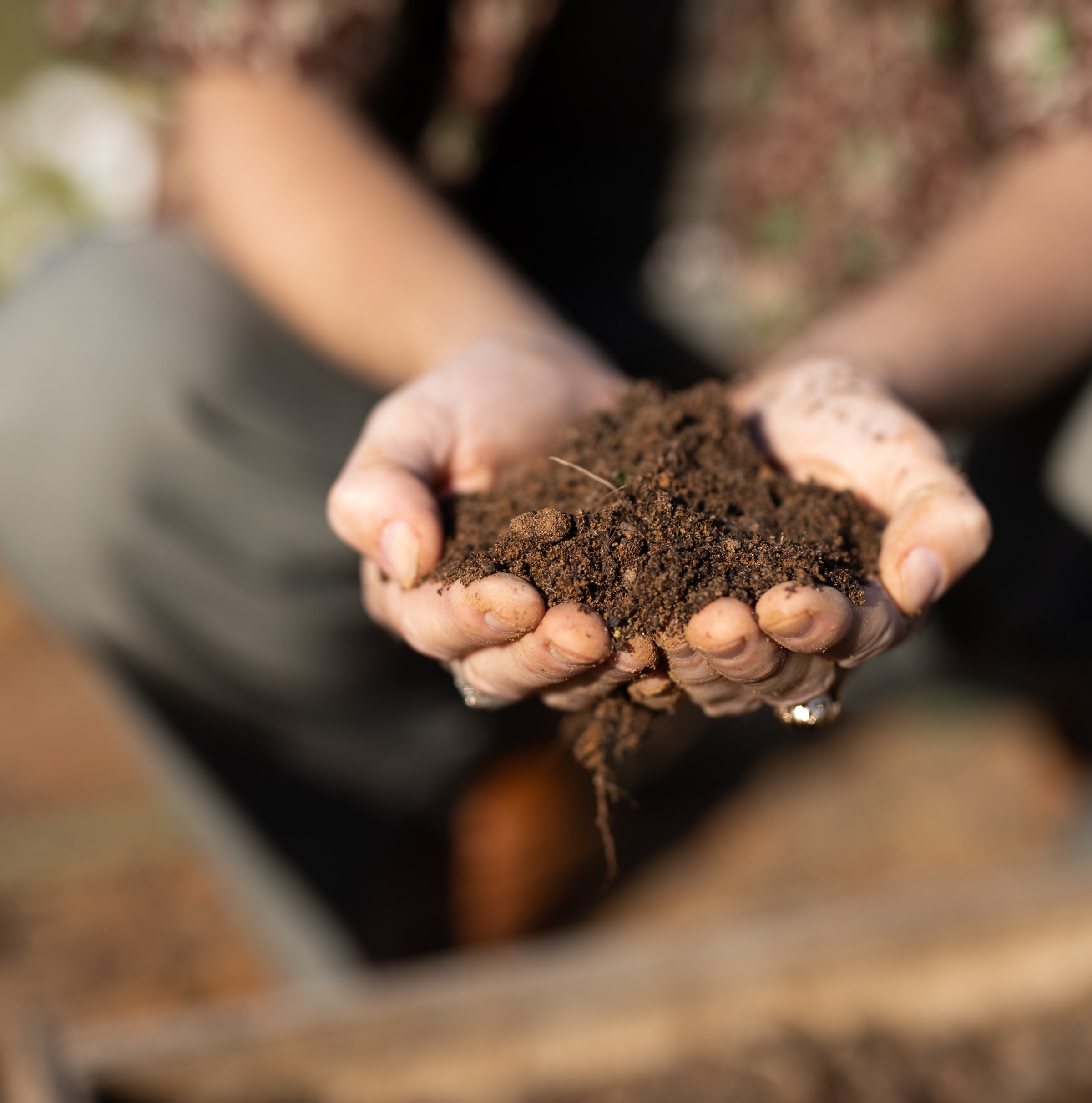 The false climate solution that just won’t die