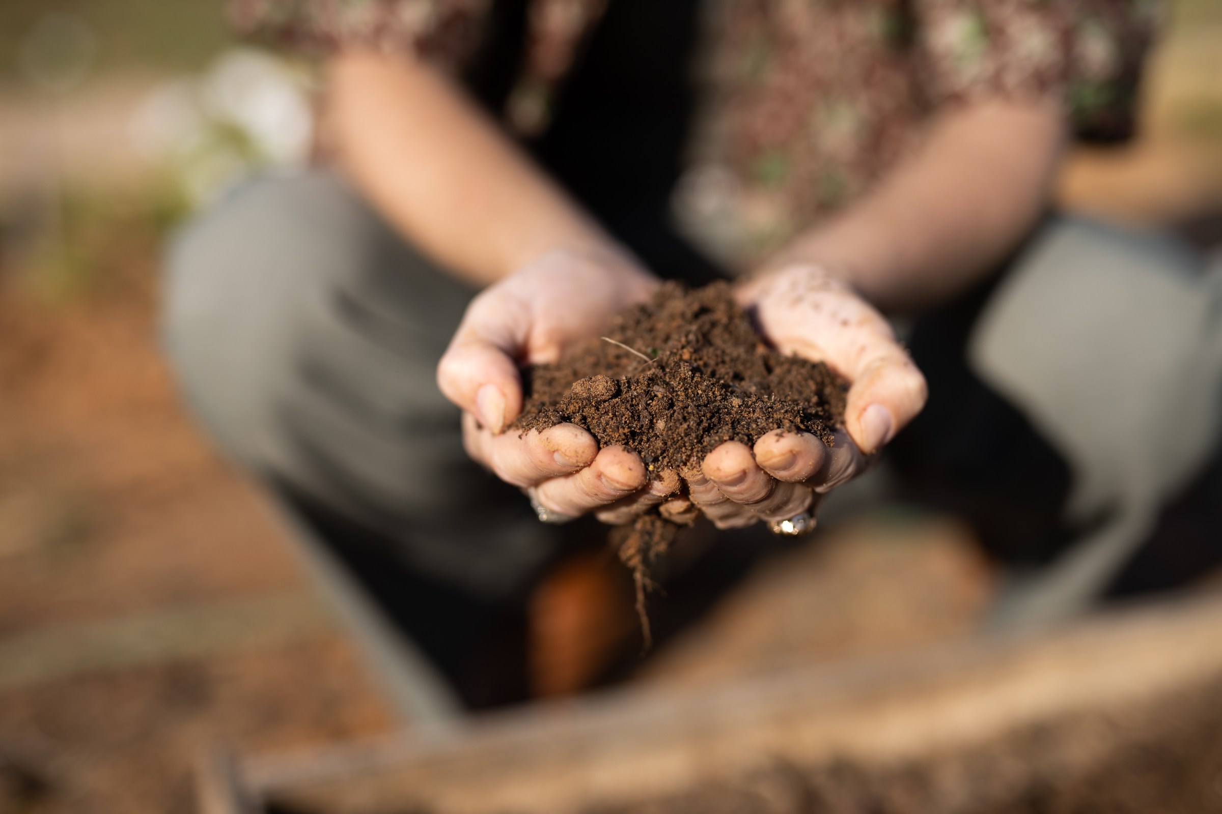 The false climate solution that just won’t die