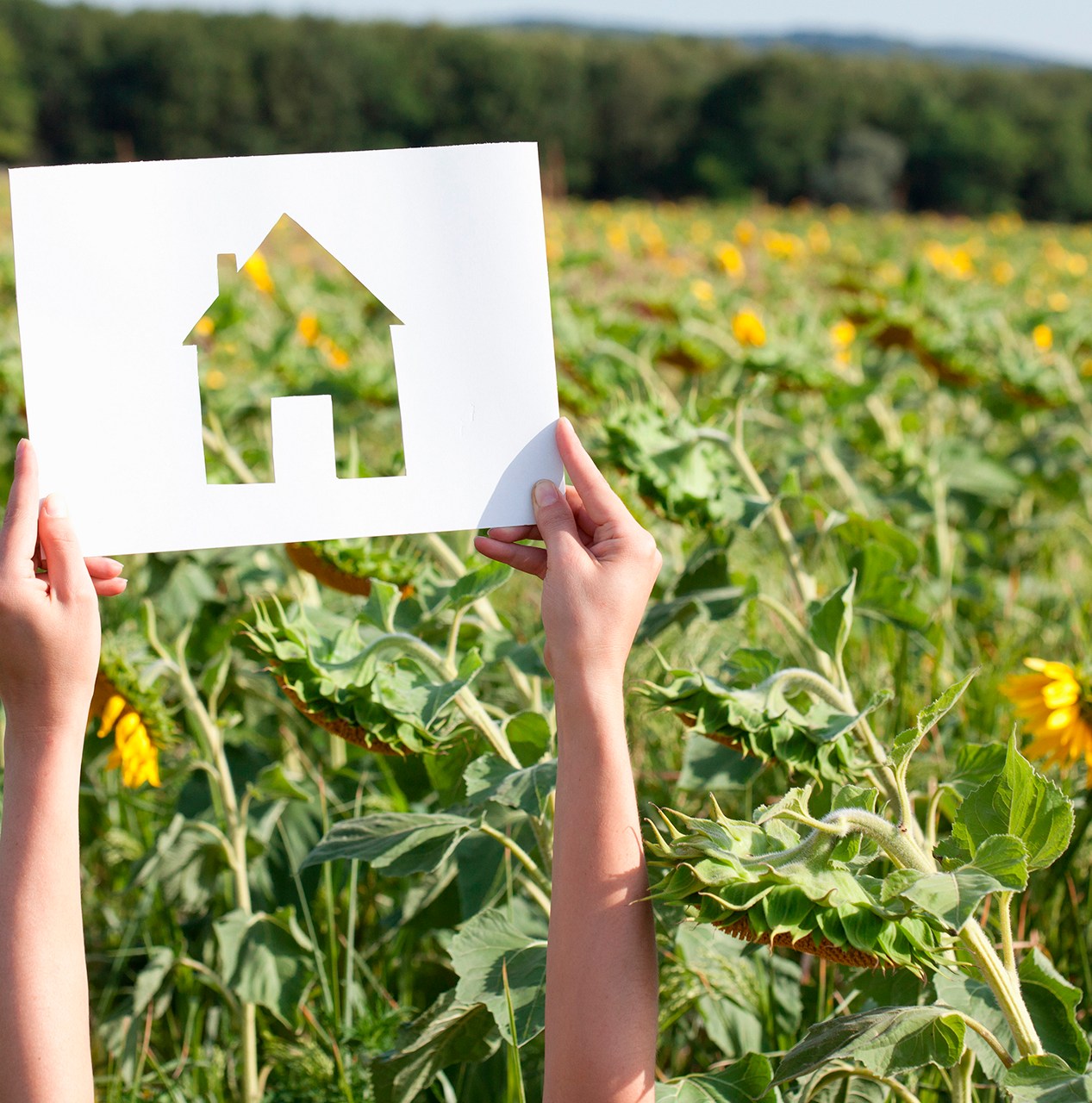 The unexpected home upgrade that could save you thousands