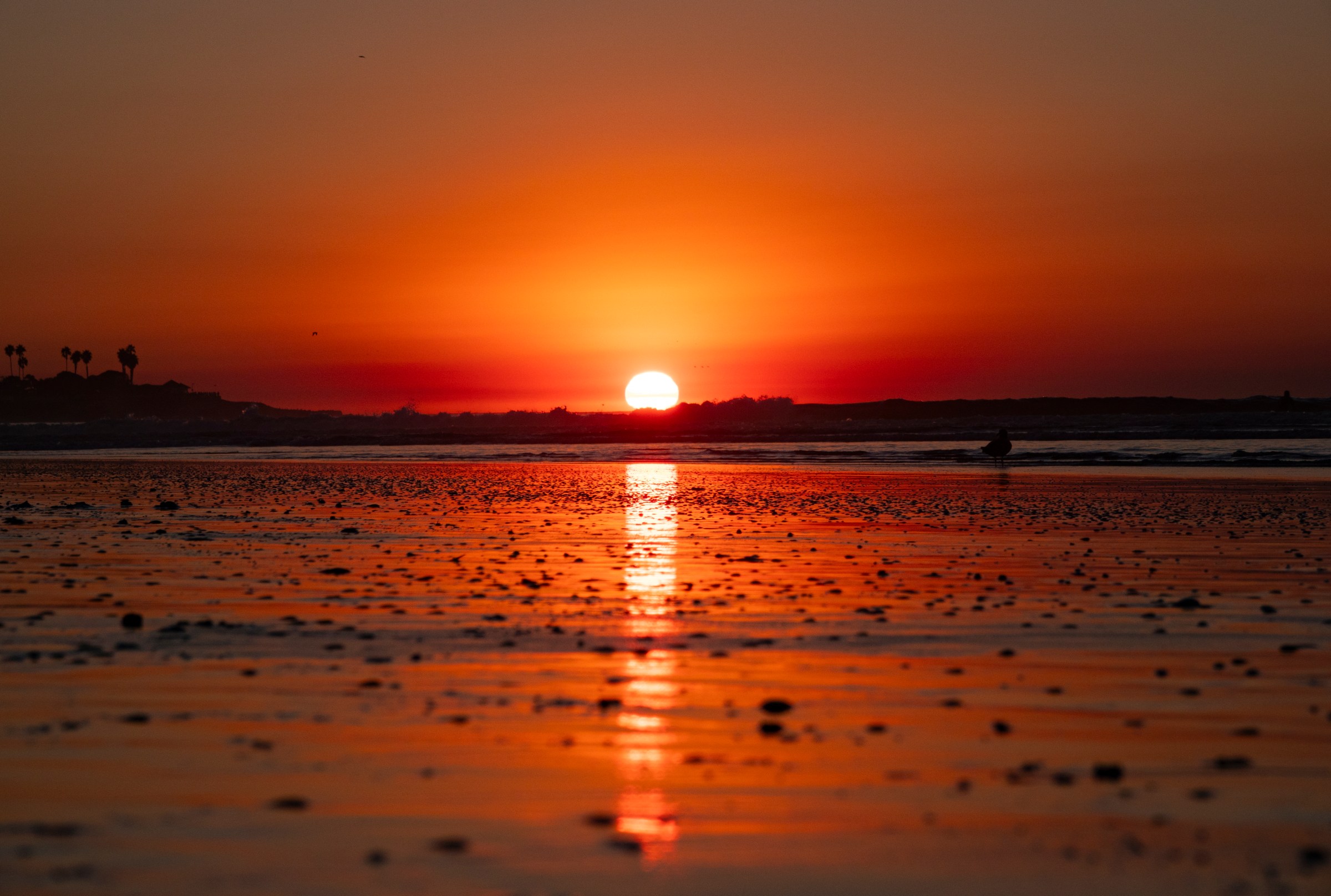 Why the US is freezing as the planet reaches record warmth