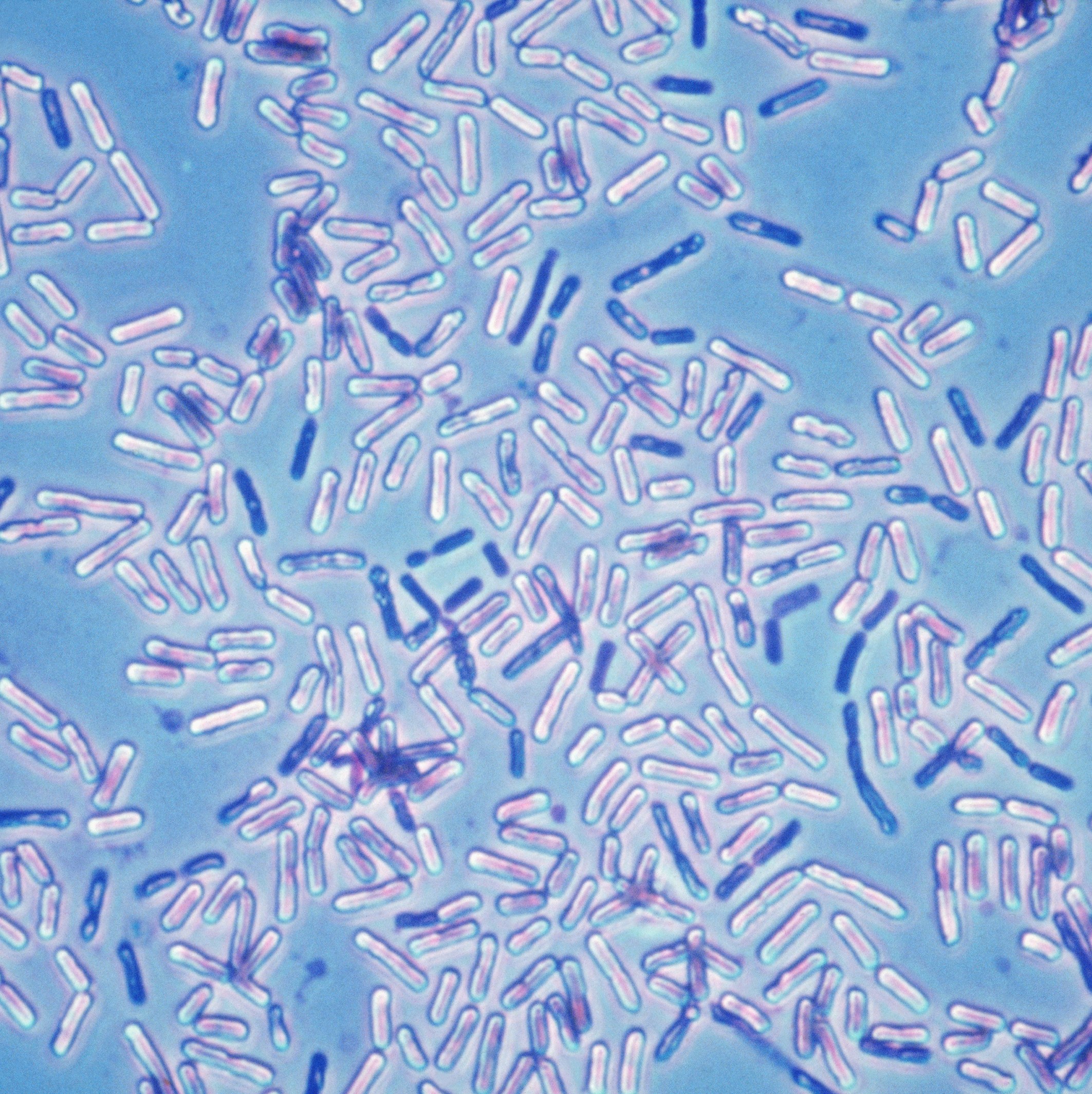 A whole new thing that could end the world